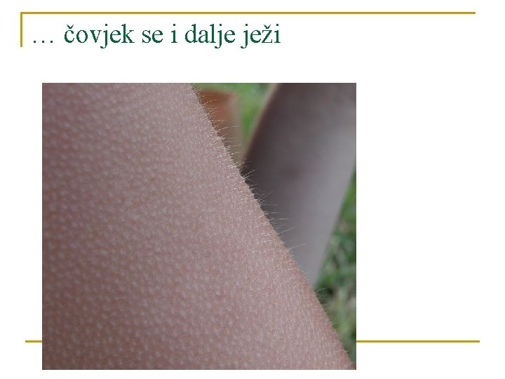 … čovjek se i dalje ježi 