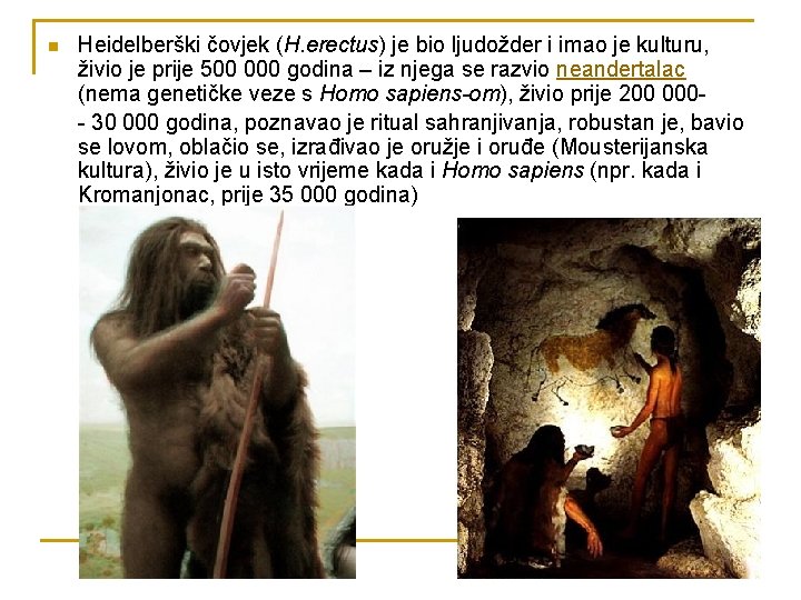 n Heidelberški čovjek (H. erectus) je bio ljudožder i imao je kulturu, živio je