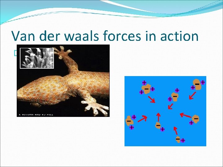 Van der waals forces in action � 