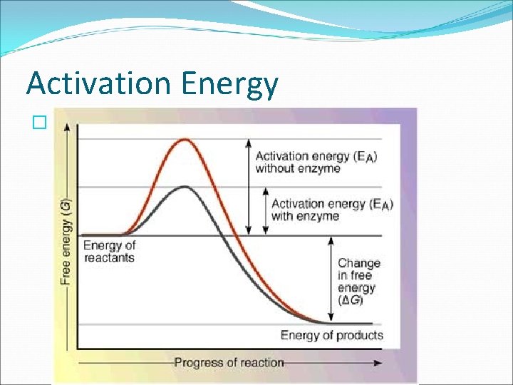Activation Energy � 
