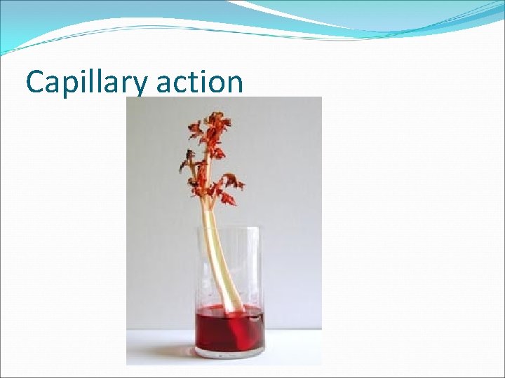 Capillary action 