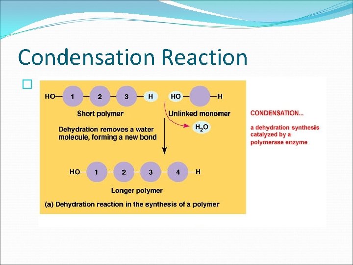 Condensation Reaction � 