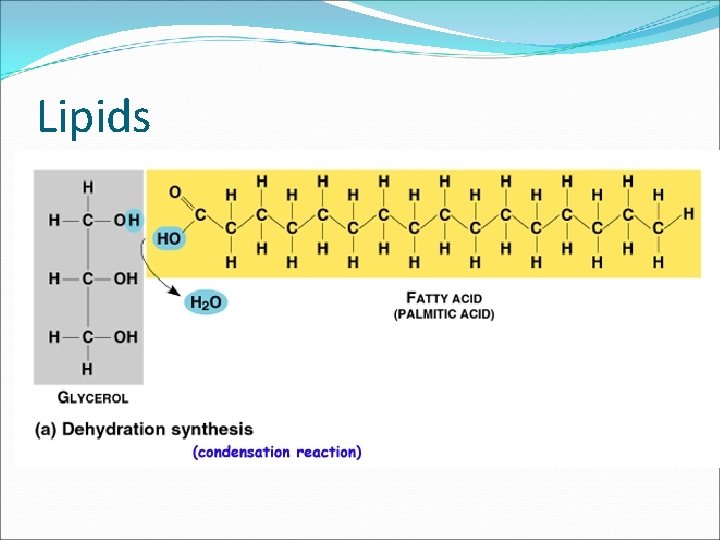 Lipids � 