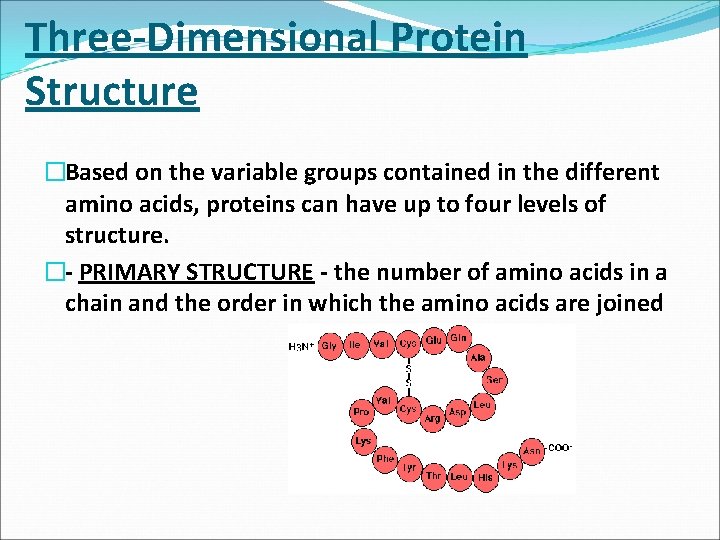 Three Dimensional Protein Structure �Based on the variable groups contained in the different amino