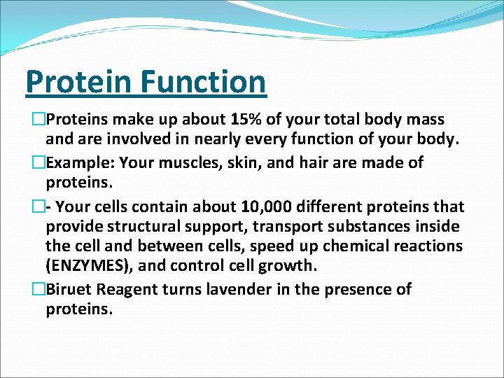Protein Function �Proteins make up about 15% of your total body mass and are