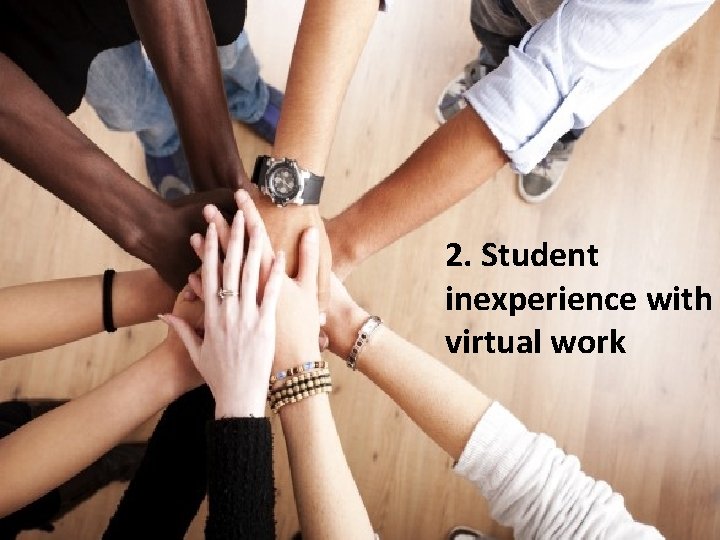 2. Student inexperience with virtual work 