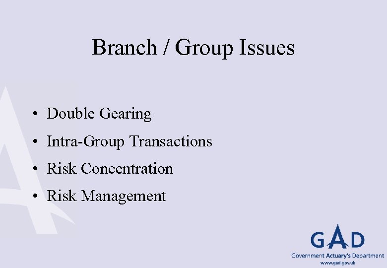 Branch / Group Issues • Double Gearing • Intra-Group Transactions • Risk Concentration •