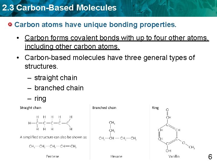 2. 3 Carbon-Based Molecules Carbon atoms have unique bonding properties. • Carbon forms covalent