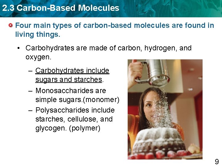 2. 3 Carbon-Based Molecules Four main types of carbon-based molecules are found in living