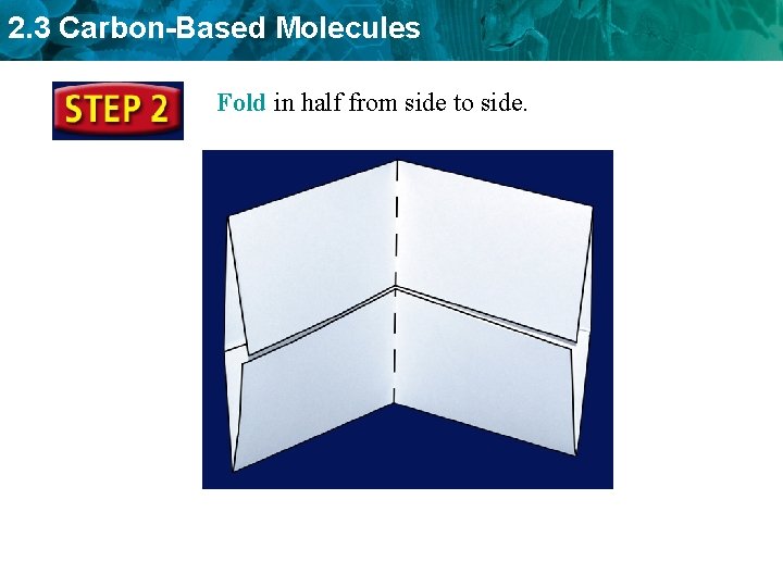 2. 3 Carbon-Based Molecules Fold in half from side to side. 