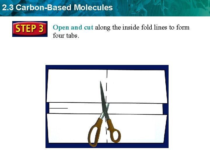 2. 3 Carbon-Based Molecules Open and cut along the inside fold lines to form