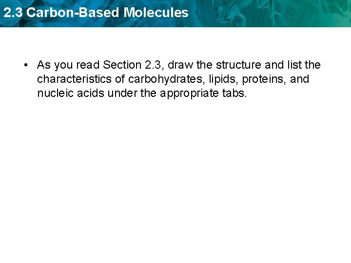 2. 3 Carbon-Based Molecules • As you read Section 2. 3, draw the structure