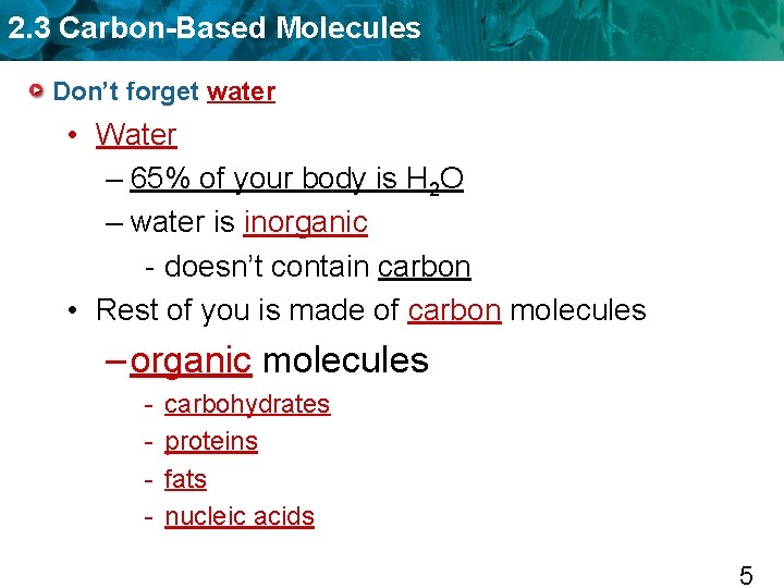 2. 3 Carbon-Based Molecules Don’t forget water • Water – 65% of your body