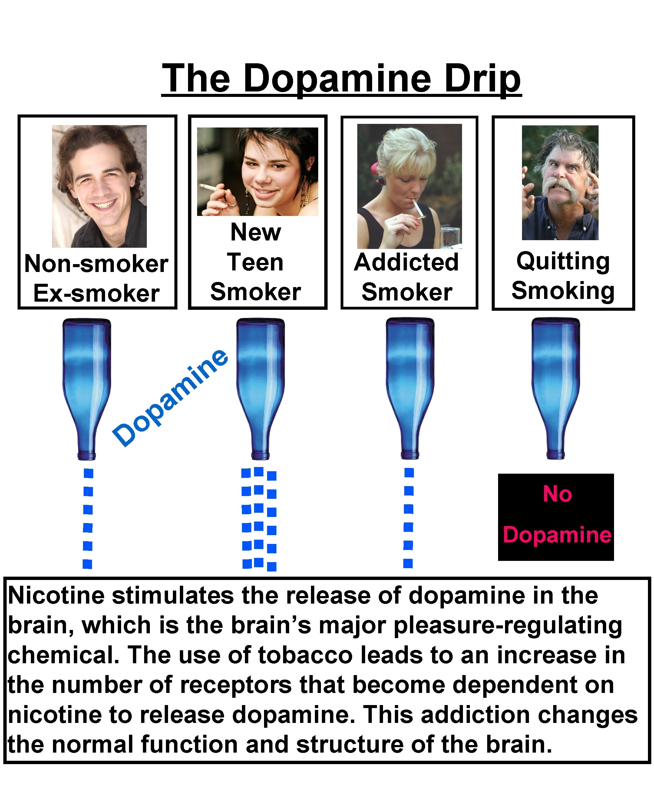The Dopamine Drip Non-smoker Ex-smoker New Teen Smoker Addicted Smoker Quitting Smoking e n