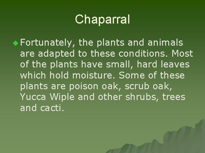 Chaparral u Fortunately, the plants and animals are adapted to these conditions. Most of