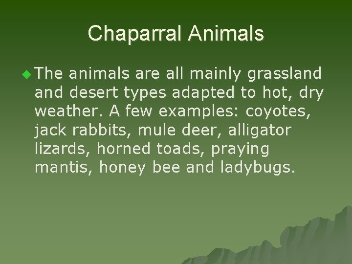 Chaparral Animals u The animals are all mainly grassland desert types adapted to hot,