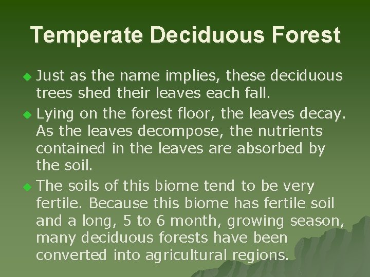 Temperate Deciduous Forest Just as the name implies, these deciduous trees shed their leaves