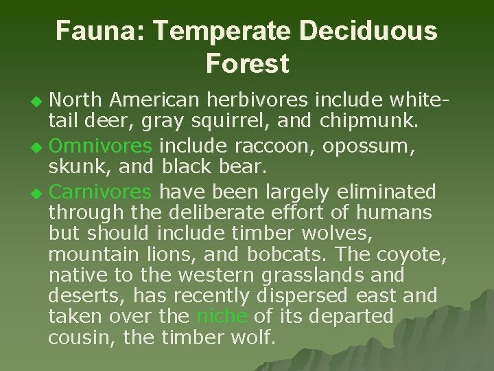 Fauna: Temperate Deciduous Forest North American herbivores include whitetail deer, gray squirrel, and chipmunk.