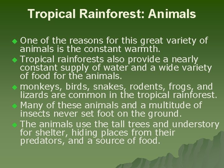 Tropical Rainforest: Animals One of the reasons for this great variety of animals is