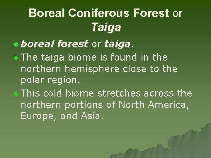 Boreal Coniferous Forest or Taiga u boreal forest or taiga. u The taiga biome