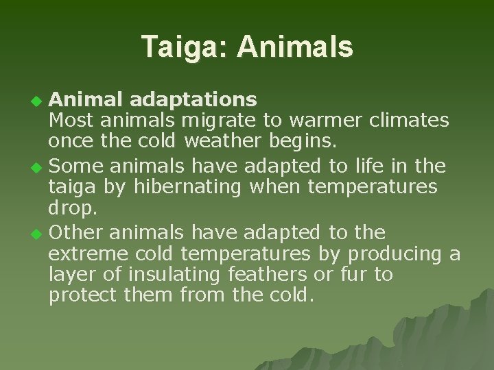 Taiga: Animals Animal adaptations Most animals migrate to warmer climates once the cold weather