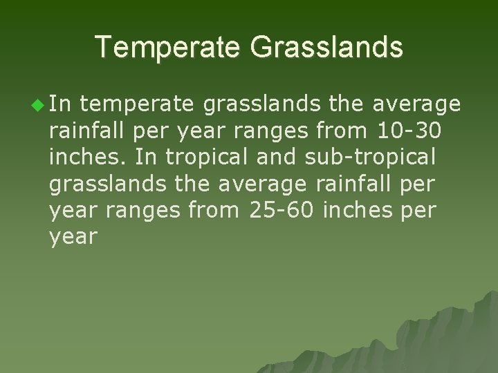 Temperate Grasslands u In temperate grasslands the average rainfall per year ranges from 10