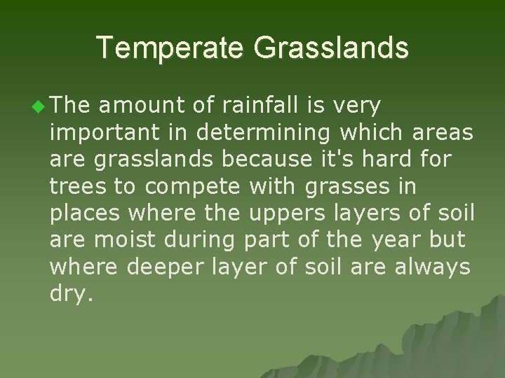 Temperate Grasslands u The amount of rainfall is very important in determining which areas