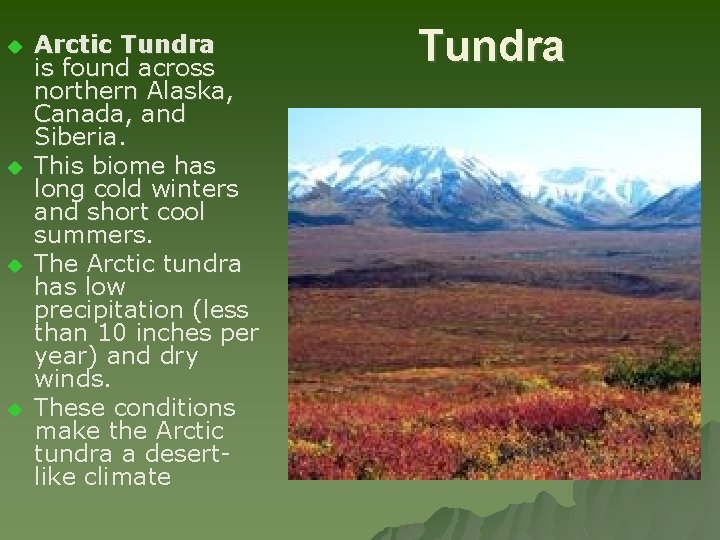 u u Arctic Tundra is found across northern Alaska, Canada, and Siberia. This biome