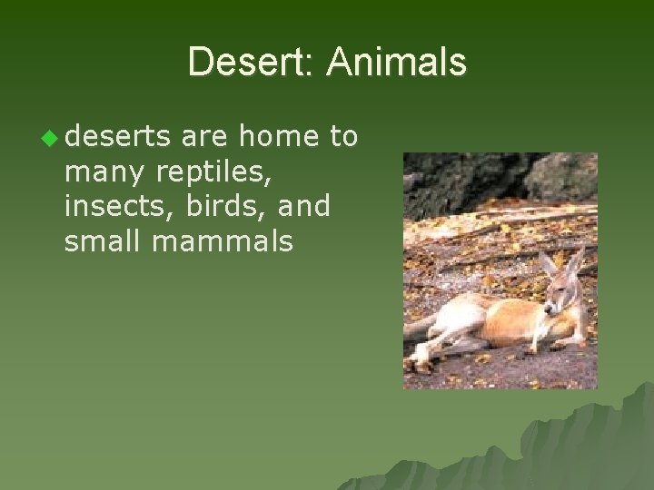 Desert: Animals u deserts are home to many reptiles, insects, birds, and small mammals