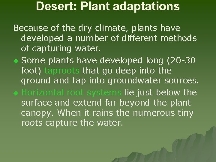 Desert: Plant adaptations Because of the dry climate, plants have developed a number of