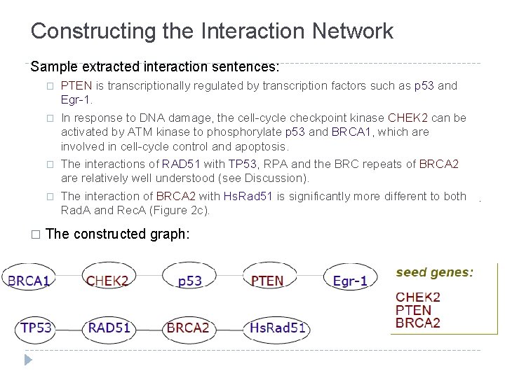 Constructing the Interaction Network Sample extracted interaction sentences: � � � PTEN is transcriptionally