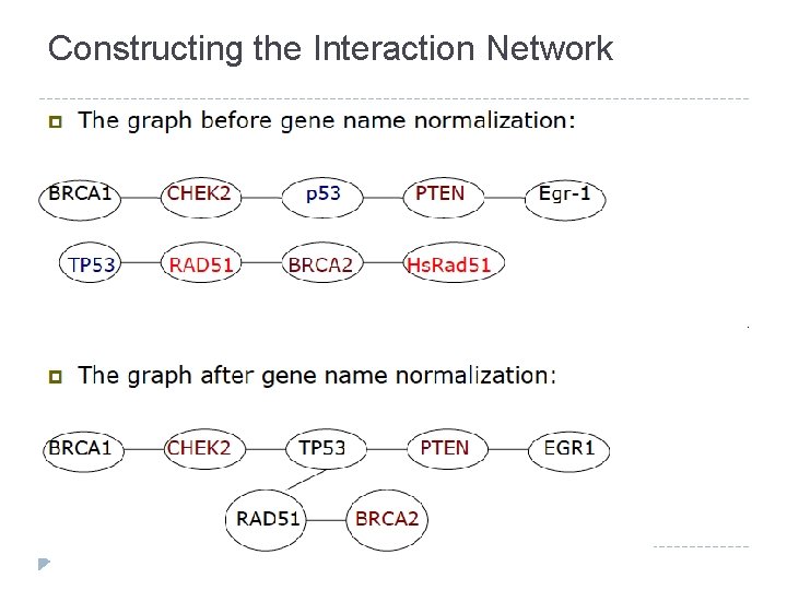 Constructing the Interaction Network 