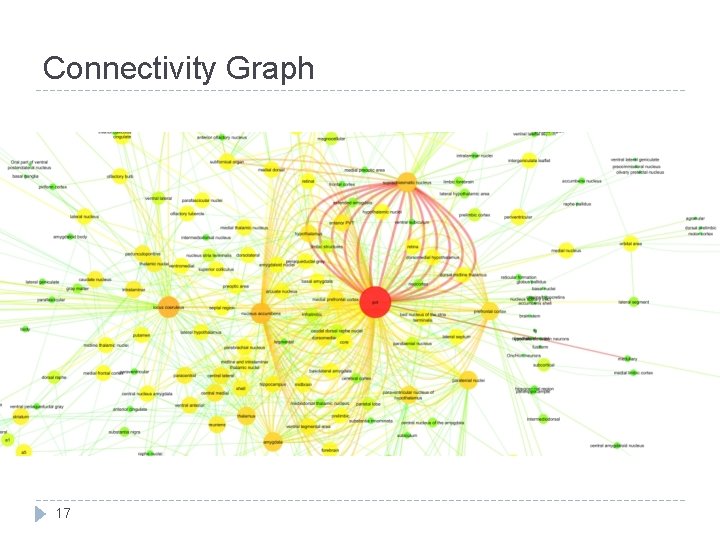 Connectivity Graph 17 