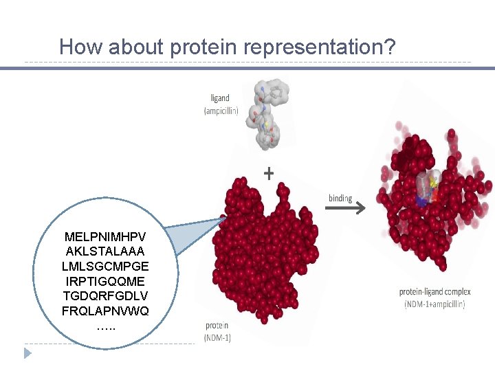  How about protein representation? MELPNIMHPV AKLSTALAAA LMLSGCMPGE IRPTIGQQME TGDQRFGDLV FRQLAPNVWQ …. . 