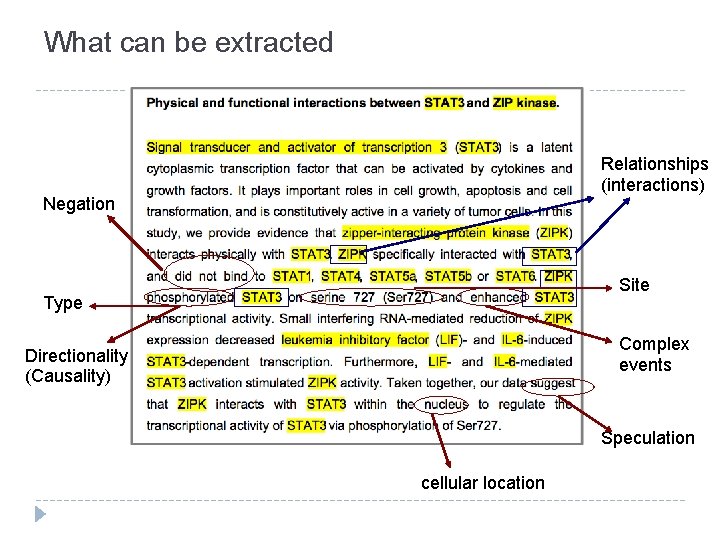 What can be extracted Relationships (interactions) Negation Site Type Complex events Directionality (Causality) Speculation