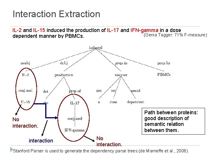 Interaction Extraction IL-2 and IL-15 induced the production of IL-17 and IFN-gamma in a