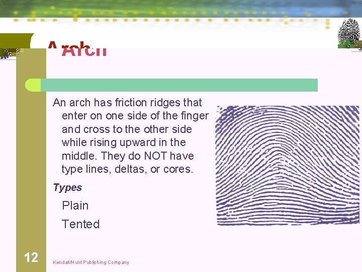 Arch An arch has friction ridges that enter on one side of the finger