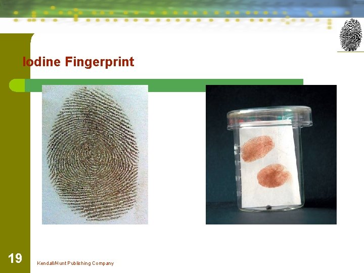 Iodine Fingerprint 19 Kendall/Hunt Publishing Company 