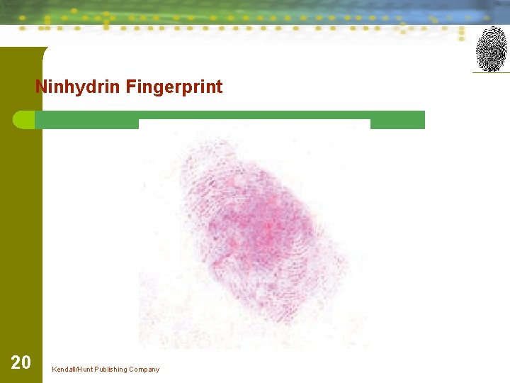 Ninhydrin Fingerprint 20 Kendall/Hunt Publishing Company 