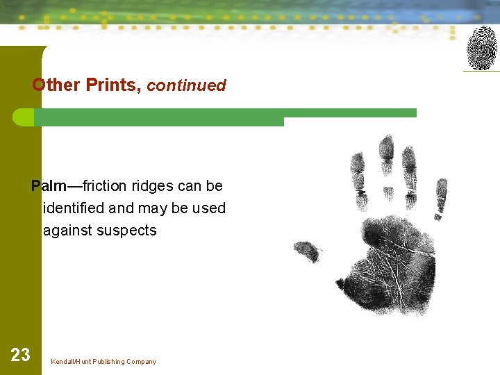 Other Prints, continued Palm—friction ridges can be identified and may be used against suspects