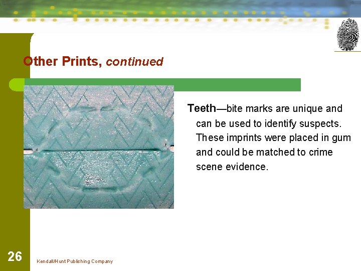 Other Prints, continued Teeth—bite marks are unique and can be used to identify suspects.