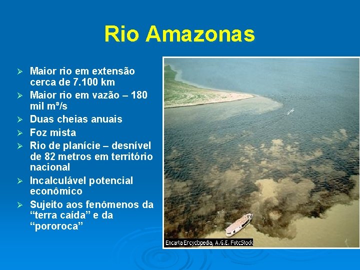 Rio Amazonas Ø Ø Ø Ø Maior rio em extensão cerca de 7. 100