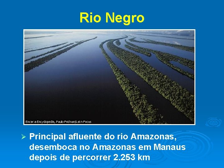 Rio Negro Ø Principal afluente do rio Amazonas, desemboca no Amazonas em Manaus depois