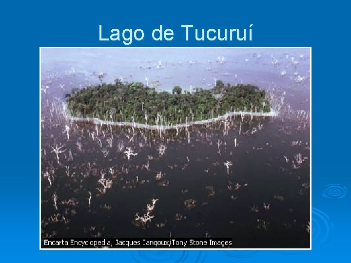 Lago de Tucuruí 