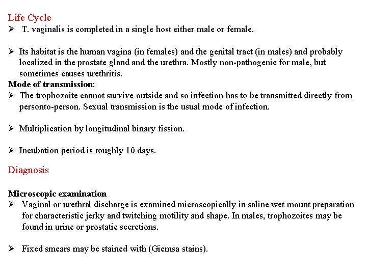 Life Cycle Ø T. vaginalis is completed in a single host either male or