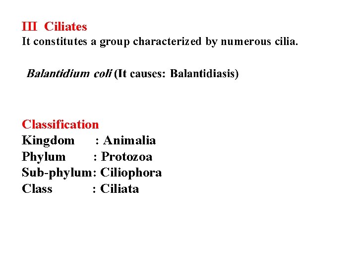 III Ciliates It constitutes a group characterized by numerous cilia. Classification Kingdom : Animalia