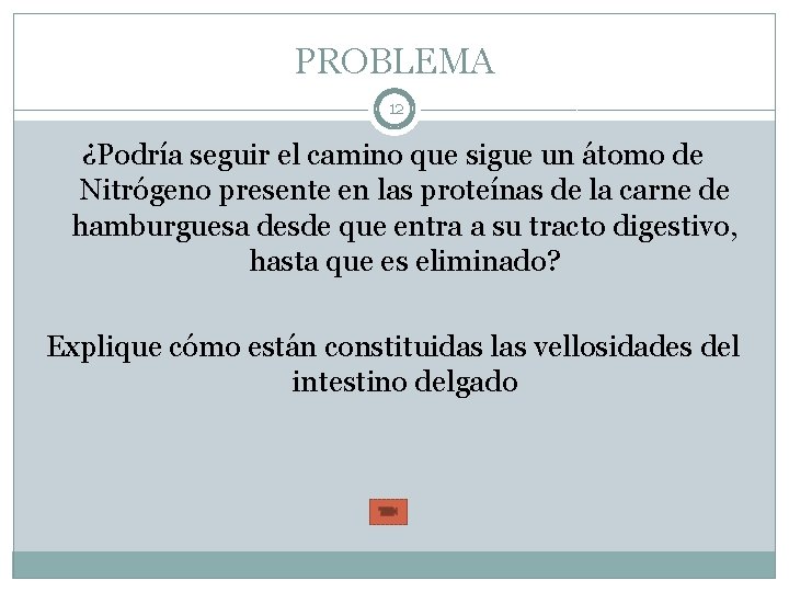 PROBLEMA 12 ¿Podría seguir el camino que sigue un átomo de Nitrógeno presente en