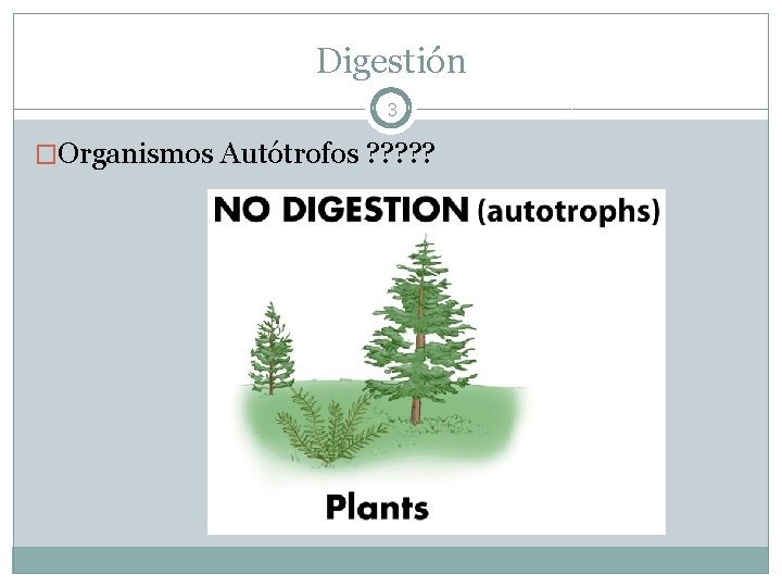 Digestión 3 �Organismos Autótrofos ? ? ? 