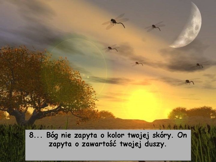 8. . . Bóg nie zapyta o kolor twojej skóry. On zapyta o zawartość