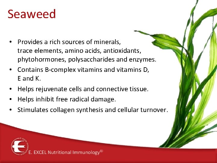 Seaweed • Provides a rich sources of minerals, trace elements, amino acids, antioxidants, phytohormones,